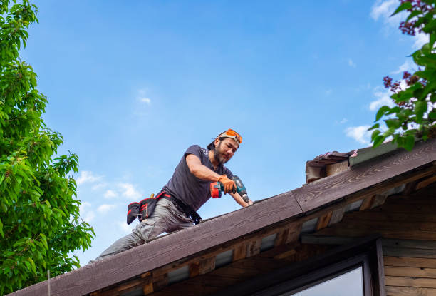 Roof Coating Services in Hallandale Beach, FL